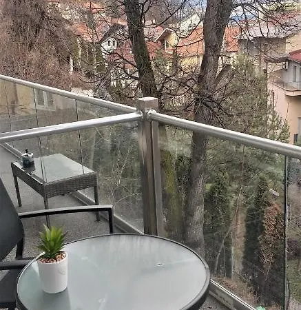 Infinity Cozy Apartment Brasov