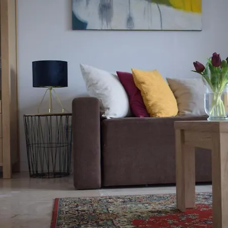 Apartment Infinity Cozy Brasov