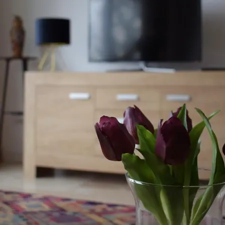 Apartment Infinity Cozy Brasov